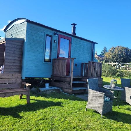 The Shepherds Hut At Forestview Farm 그린아일랜드 외부 사진