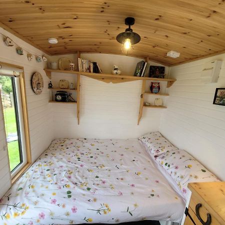 The Shepherds Hut At Forestview Farm 그린아일랜드 외부 사진